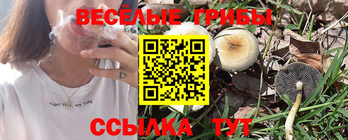 Псилоцибиновые грибы прущие грибы Бердск