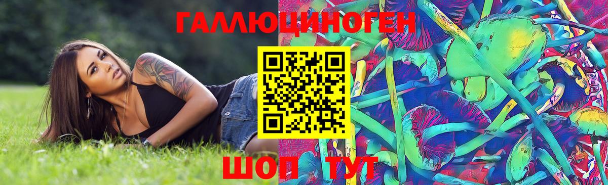 Бердск  Псилоцибиновые грибы GOLDEN TEACHER  Вход с VPN  Галлюциногенные грибы Psilocybine cubensis 